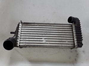 Ford Transit Connect II (2013–2026) Vahejahuti radiaator BV619L440CJ - 3