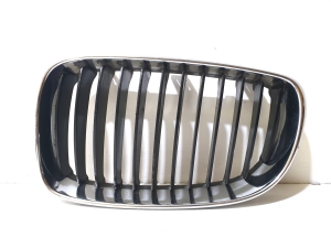 Kühlergrill - 51137166439  22405910