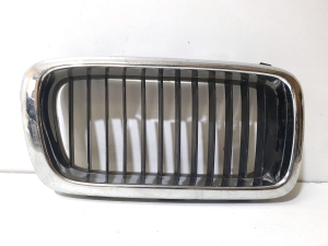 Hood grille - 