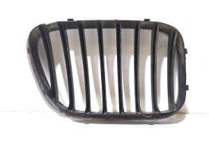 BMW X5 E53 (1999–2006) Motorhaubengitter 51138247673  51138217675 - 2