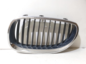 Hood grille - 51137065701  10627110