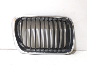 Motorhaubengitter