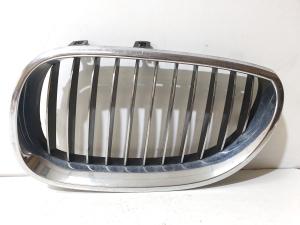 Hood grille - 51137027062