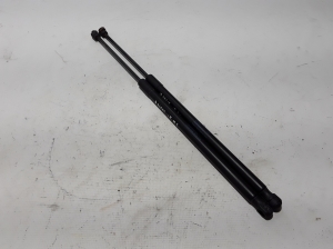   Trunk lid shock absorber 