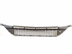  Front bumper lower grille 