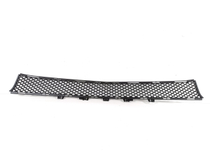  Front bumper lower grille 