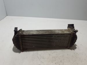 RENAULT Kangoo (2008–2020) Vahejahuti radiaator 144963234R - 2