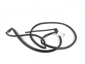   Rear side door seal on the door  - 831303U000 