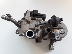  EGR valve and its parts 