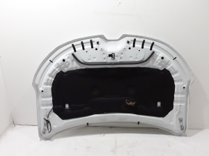 RENAULT Austral (2022–2026) Motorhaube 651008025R - 3