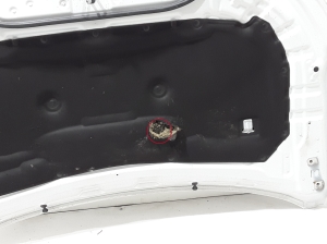 RENAULT Austral (2022–2026) Motorhaube 651008025R - 4