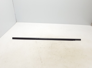 Baguette extérieure de vitre de porte avant - 808216103R