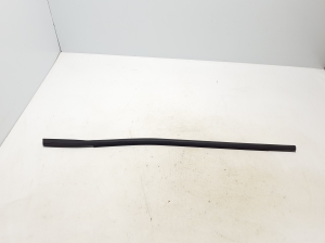   Tagumise külgukse klaasi välimine liist  - 828332263R 