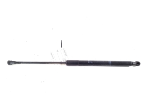   Trunk lid strut  - 68960-0WB21 