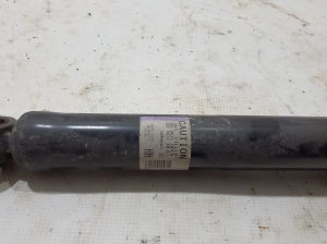 RENAULT Austral (2022–2026) Stoßdämpfer hinten 562104234R - 2