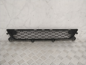  Front bumper lower grille 