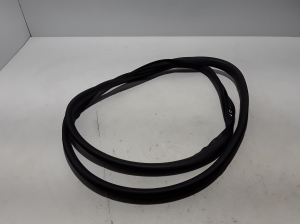 RENAULT Austral (2022–2026) Front door rubber seal 808331550R - 2