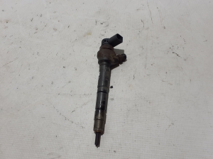   Fuel injector 