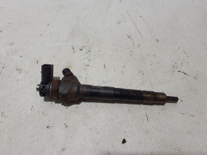   Fuel injector 