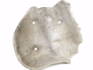  Muffler heat shield  -  