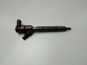   Fuel injector 