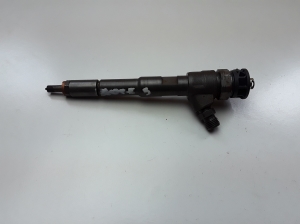   Fuel injector 