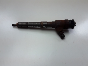   Fuel injector 