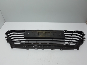   Front bumper lower grille 