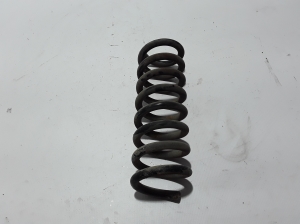   Feder hinten  - A2023242504 