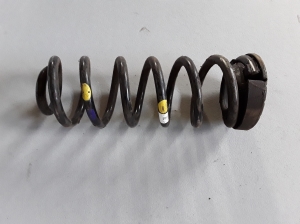   Feder hinten  - 55350D7CA0 