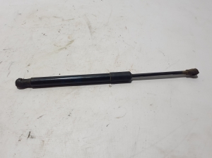   Hood prop/gas strut  - 5E3823359 