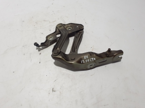  Hood hinge  - 5E3823301 