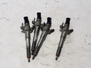   Fuel injector 