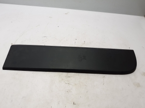  Rear tailgate strip 