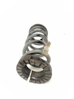 Ford Mustang (2015–2026) Rear spring JR3C5560KA - 2