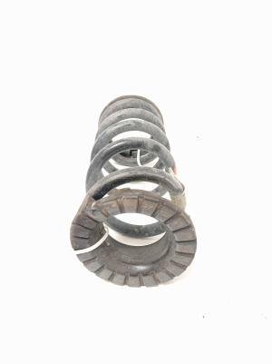 Ford Mustang (2015–2026) Rear spring JR3C5560KA - 2