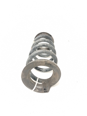 Ford Mustang (2015–2026) Rear spring JR3C5560KA - 3