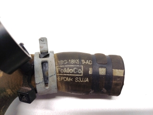 Ford Puma II (2019–2026) Radiator hose L1BG-18K579-AD - 2