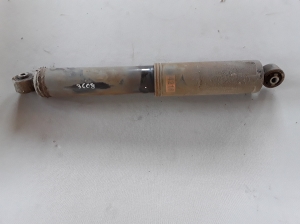   Stoßdämpfer hinten  - 20924216 