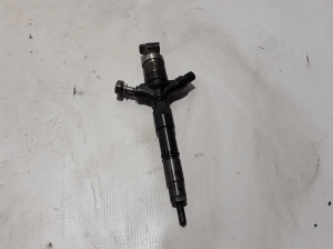   Fuel injector 