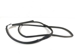 Dodge Journey (2007–2026) Türdichtung hintere Seitentür (an der Tür) 5076869AC - 3