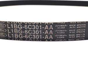 Ford Puma II (2019–2026) Alternator belt L1BG-6C301-AA - 2