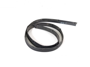   Hood seal  - DA6C56760A 