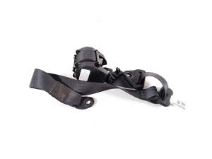 Dodge Journey (2007–2026) Rear seat belt - 4