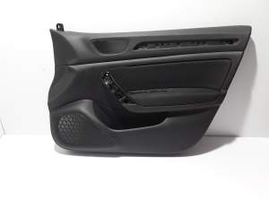 Front door panel - 809009313R