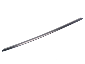 Rear side door outer window molding - 1495722-00-C