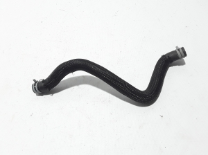Radiator hose - 924005619R