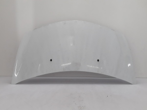   Motorhaube  - 7751476113 
