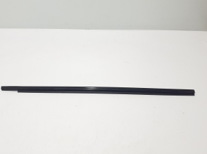 Esiukse klaasi välimine liist - 808203961R