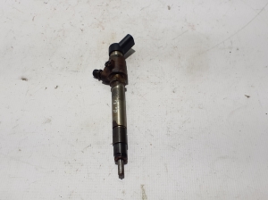   Fuel injector 